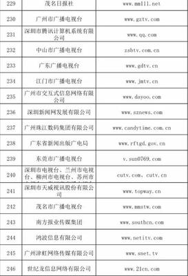 信息网络传播视听节目许可证持证单位概览